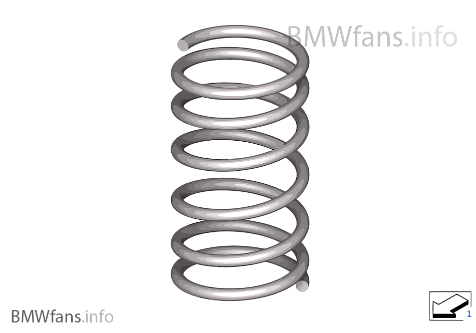 Front coil spring