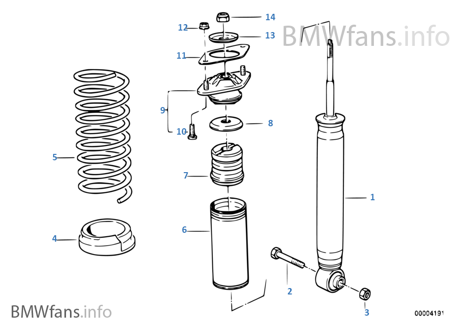 Rear spring strut coil spring and parts