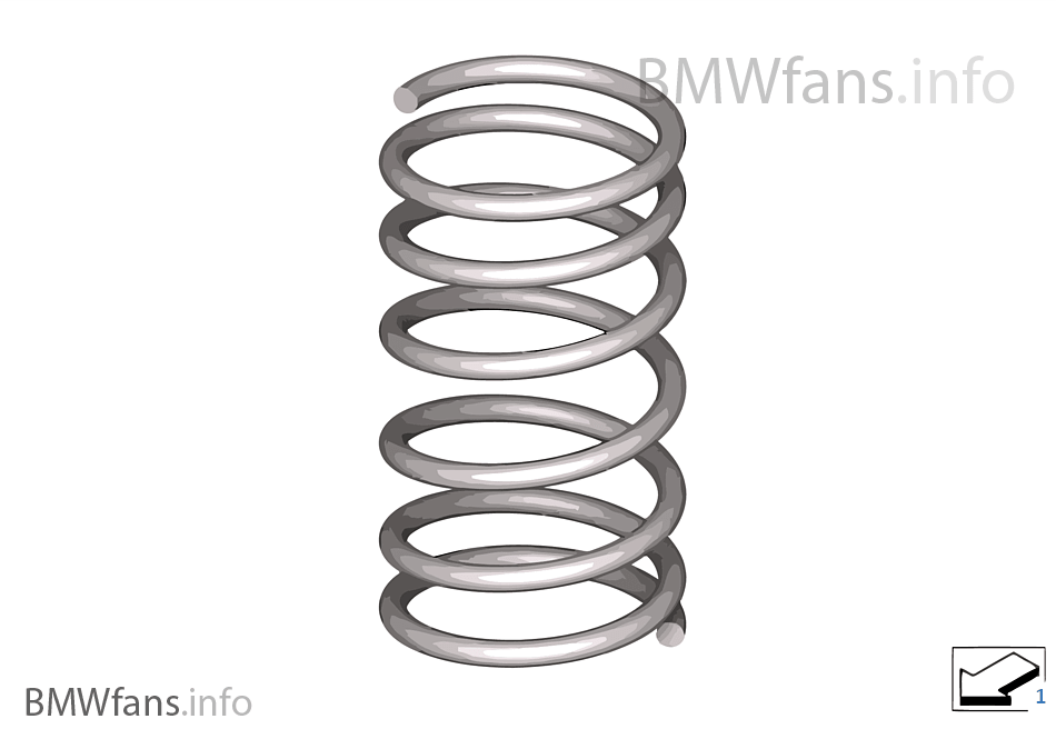 Rear coil spring