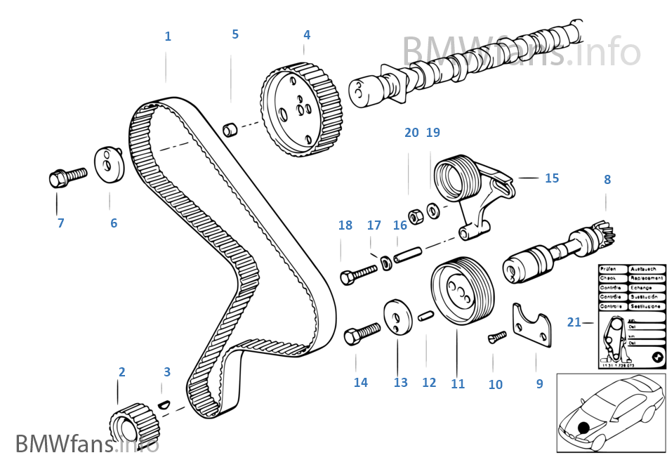 Timing and valve train-tooth belt