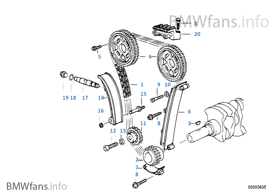 Timing and valve train-timing chain