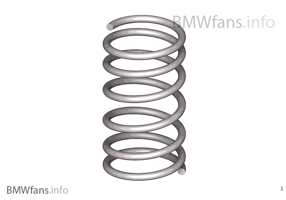 Rear coil spring