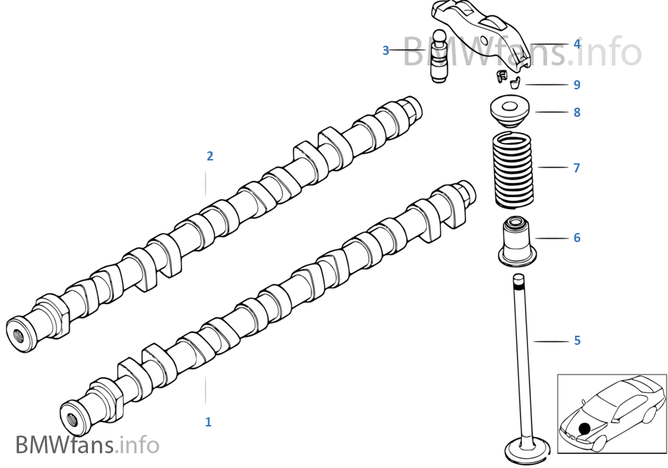 Timing and valve train-camshaft