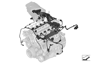 Kabelbaum Motor