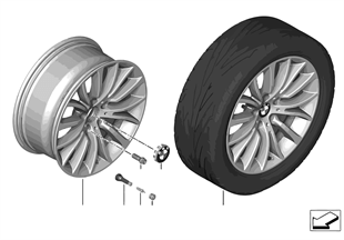 BMW LA wheel Multi-Spoke 454 — 18''