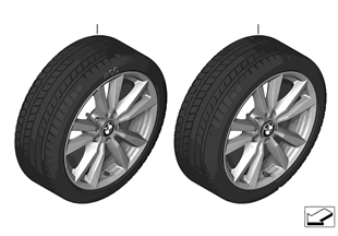 Winter wheel & tire Double Spoke 446