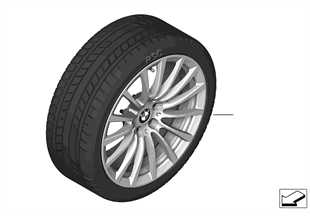 Winter wheel & tire, Multi-Spoke 619