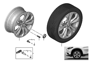 BMW 輕質鋁合金輪輞 雙輪輻 564 - 17''
