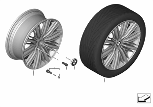 BMW LA wheel Multi-Spoke 616 — 20''