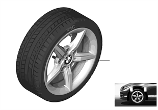 Winter wheel&tire star spoke 654